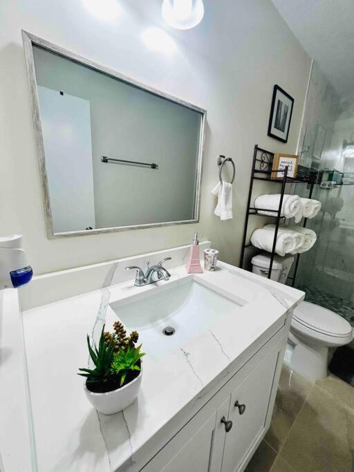 Vintage Family Scape + Heated Pool&Discount Villa Tampa Exteriör bild
