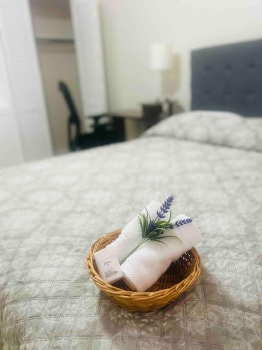 Vintage Family Scape + Heated Pool&Discount Villa Tampa Exteriör bild