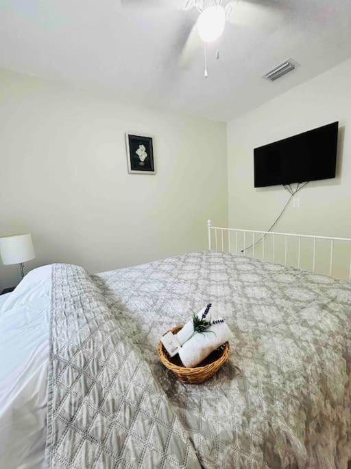 Vintage Family Scape + Heated Pool&Discount Villa Tampa Exteriör bild