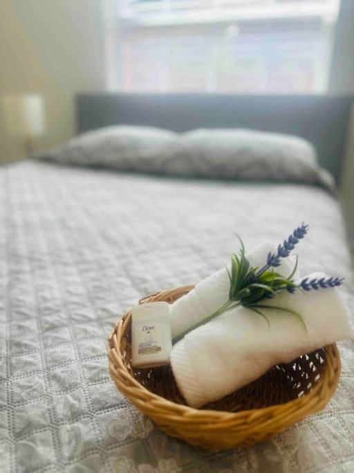 Vintage Family Scape + Heated Pool&Discount Villa Tampa Exteriör bild