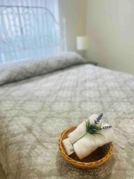 Vintage Family Scape + Heated Pool&Discount Villa Tampa Exteriör bild
